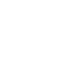 Desarrollo de Producto