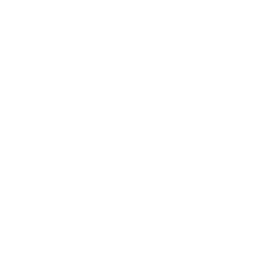 Auditorías Industriales